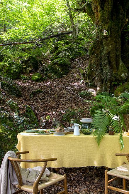 Mesa preparada entre los árboles del bosque, junto al hotel